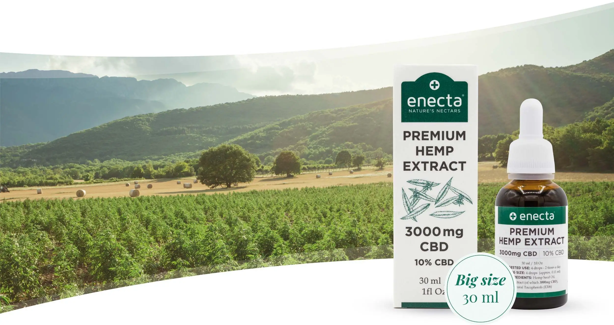 Unveiling the Power of Plants: Exploring the World of Enecta CBD