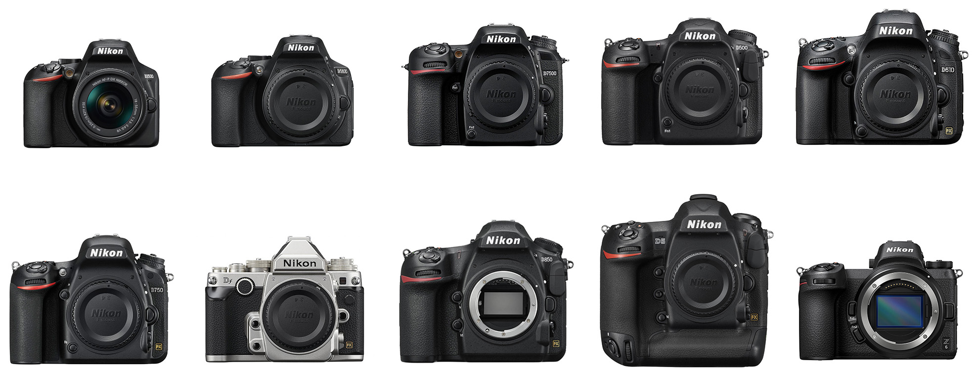 Comparison of Nikon Brand Cameras: Best Cameras for Beginners